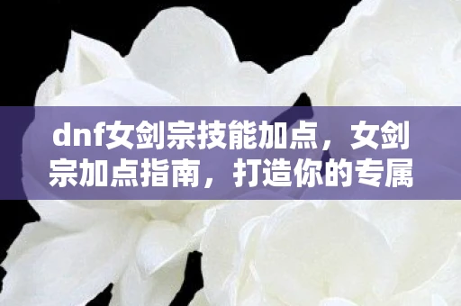 dnf女剑宗技能加点，女剑宗加点指南，打造你的专属剑宗