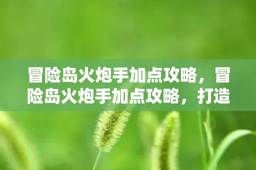 冒险岛火炮手加点攻略，冒险岛火炮手加点攻略，打造最强输出角色