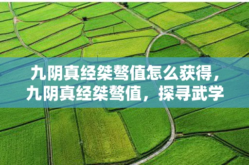 九阴真经桀骜值怎么获得，九阴真经桀骜值，探寻武学巅峰的奥秘