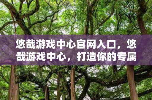 悠哉游戏中心官网入口，悠哉游戏中心，打造你的专属娱乐天地