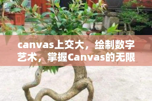 canvas上交大，绘制数字艺术，掌握Canvas的无限可能