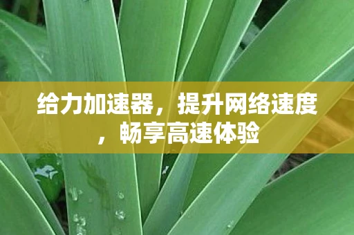 给力加速器，提升网络速度，畅享高速体验