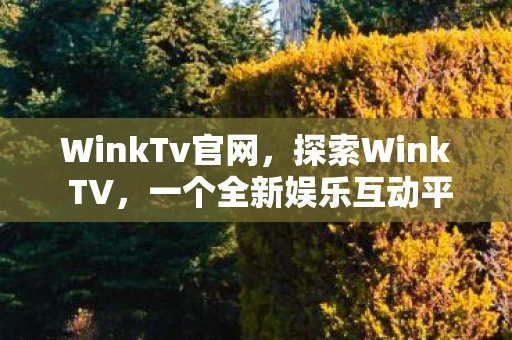 WinkTv官网，探索Wink TV，一个全新娱乐互动平台的崛起