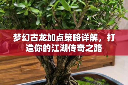 梦幻古龙加点策略详解图片