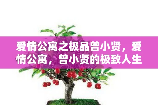 爱情公寓之极品曾小贤，爱情公寓，曾小贤的极致人生