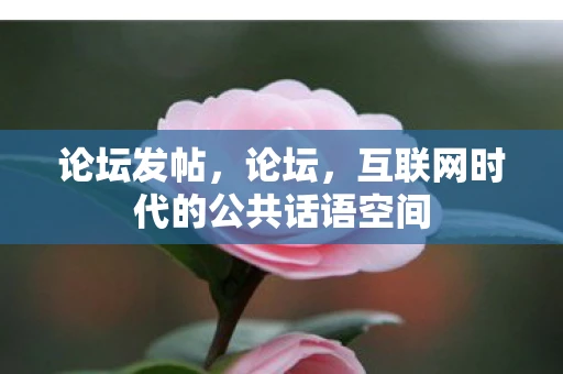 论坛发帖，论坛，互联网时代的公共话语空间
