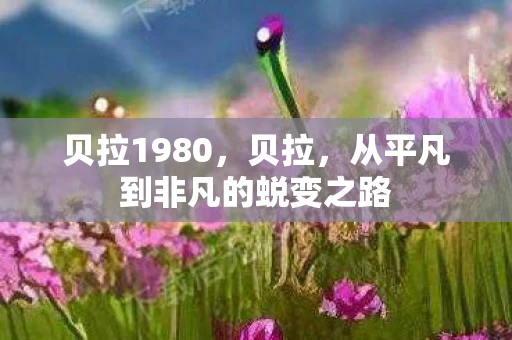 贝拉1980，贝拉，从平凡到非凡的蜕变之路