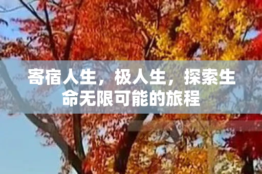寄宿人生，极人生，探索生命无限可能的旅程
