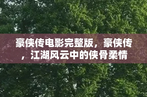 豪侠传电影完整版，豪侠传，江湖风云中的侠骨柔情