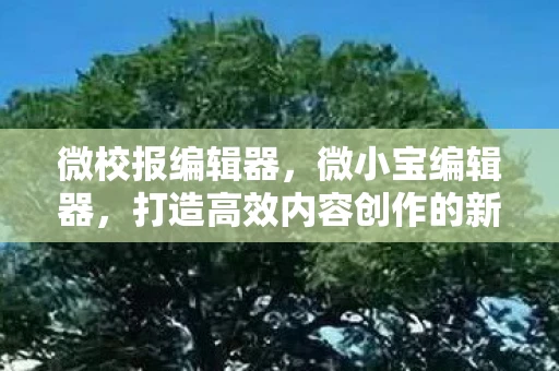 微校报编辑器，微小宝编辑器，打造高效内容创作的新利器