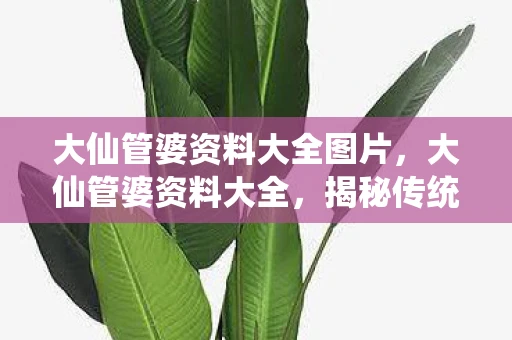 大仙管婆资料大全图片，大仙管婆资料大全，揭秘传统智慧与人生哲理