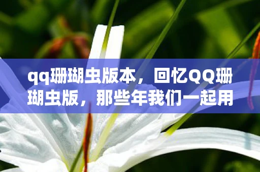 qq珊瑚虫版本，回忆QQ珊瑚虫版，那些年我们一起用过的经典软件