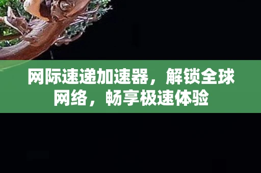 网际速递加速器，解锁全球网络，畅享极速体验