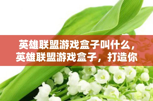 英雄联盟游戏盒子叫什么，英雄联盟游戏盒子，打造你的专属游戏神器