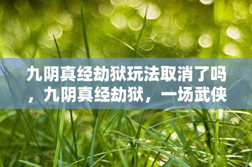 九阴真经劫狱玩法取消了吗，九阴真经劫狱，一场武侠与法律的较量