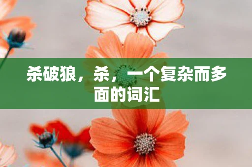 杀破狼，杀，一个复杂而多面的词汇