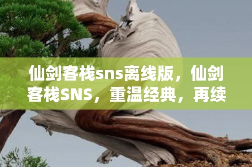 仙剑客栈sns离线版，仙剑客栈SNS，重温经典，再续前缘