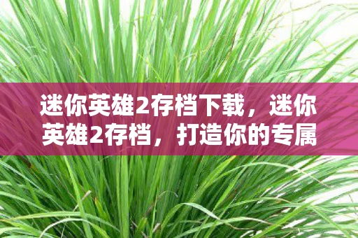 迷你英雄2存档下载，迷你英雄2存档，打造你的专属游戏世界