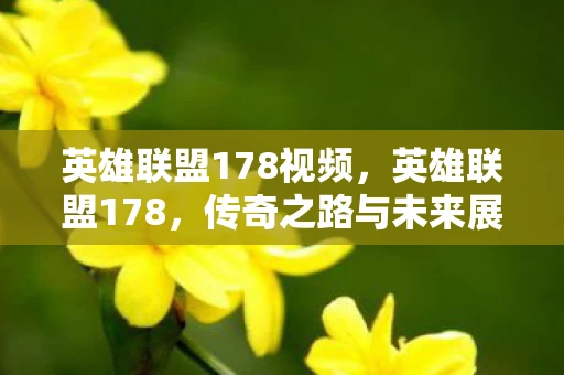 英雄联盟178视频，英雄联盟178，传奇之路与未来展望