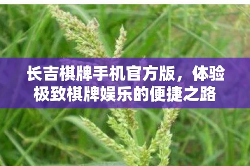 体验极致棋牌娱乐的便捷之路图片
