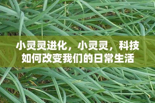 小灵灵进化，小灵灵，科技如何改变我们的日常生活