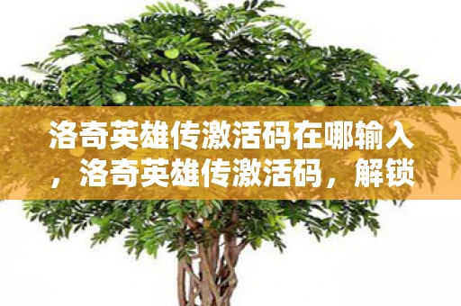 洛奇英雄传激活码在哪输入，洛奇英雄传激活码，解锁你的冒险之旅