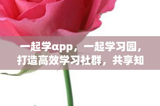 一起学αpp，一起学习园，打造高效学习社群，共享知识资源