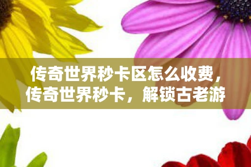 传奇世界秒卡区怎么收费，传奇世界秒卡，解锁古老游戏的神秘钥匙
