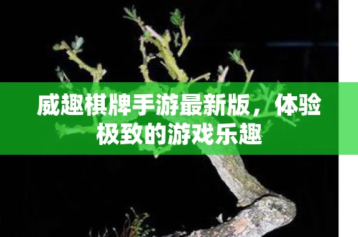 威趣棋牌手游最新版图片