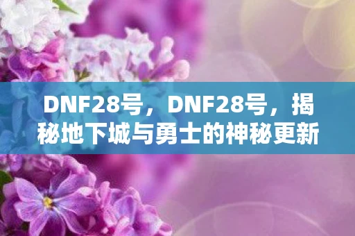 DNF28号，DNF28号，揭秘地下城与勇士的神秘更新