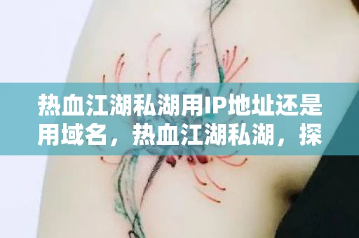 热血江湖私湖用IP地址还是用域名，热血江湖私湖，探索未知，挑战自我