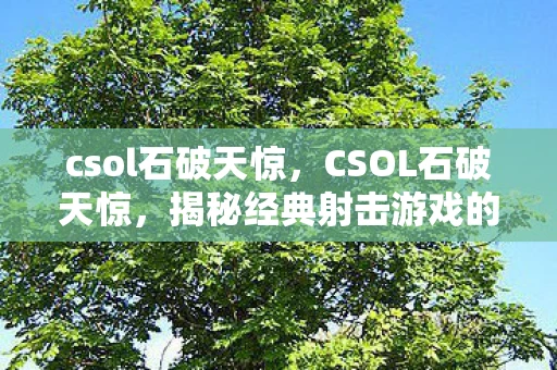 csol石破天惊，CSOL石破天惊，揭秘经典射击游戏的传奇故事