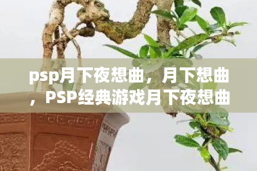 psp月下夜想曲，月下想曲，PSP经典游戏月下夜想曲的怀旧之旅