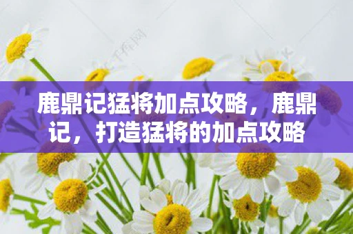 鹿鼎记猛将加点攻略，鹿鼎记，打造猛将的加点攻略