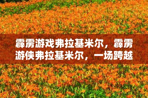 霹雳游戏弗拉基米尔，霹雳游侠弗拉基米尔，一场跨越时空的冒险之旅