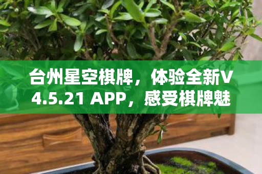 台州星空棋牌图片