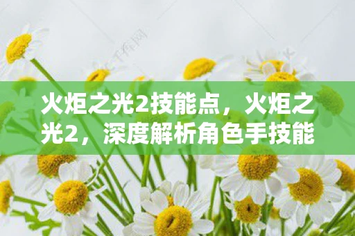 火炬之光2技能点，火炬之光2，深度解析角色手技能系统