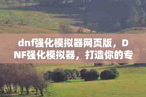dnf强化模拟器网页版，DNF强化模拟器，打造你的专属神器