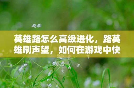 英雄路怎么高级进化，路英雄刷声望，如何在游戏中快速提升角色声望