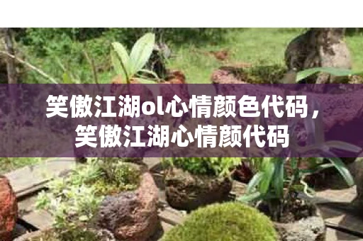 笑傲江湖ol心情颜色代码，笑傲江湖心情颜代码