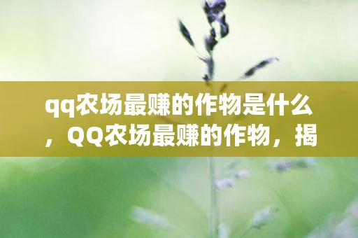 qq农场最赚的作物是什么，QQ农场最赚的作物，揭秘高收益种植策略