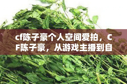 cf陈子豪个人空间爱拍，CF陈子豪，从游戏主播到自媒体巨头的个人空间探索