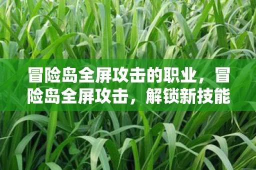 冒险岛全屏攻击的职业，冒险岛全屏攻击，解锁新技能，挑战新高度