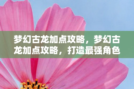 梦幻古龙加点攻略，梦幻古龙加点攻略，打造最强角色