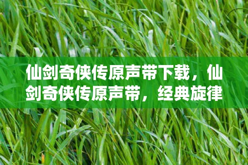 仙剑奇侠传原声带下载，仙剑奇侠传原声带，经典旋律的永恒回响