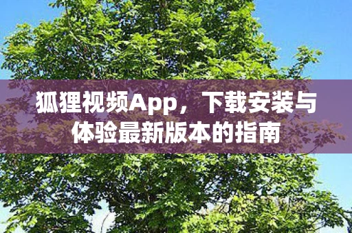 下载安装与体验最新版本的指南图片