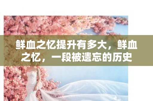 鲜血之忆提升有多大，鲜血之忆，一段被遗忘的历史