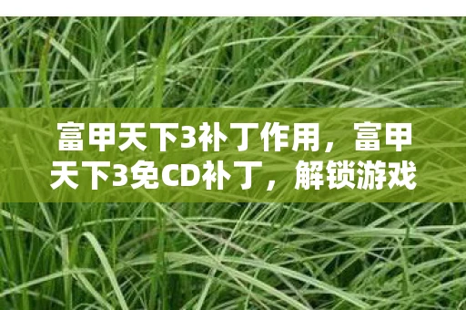 富甲天下3补丁作用，富甲天下3免CD补丁，解锁游戏乐趣的便捷之道