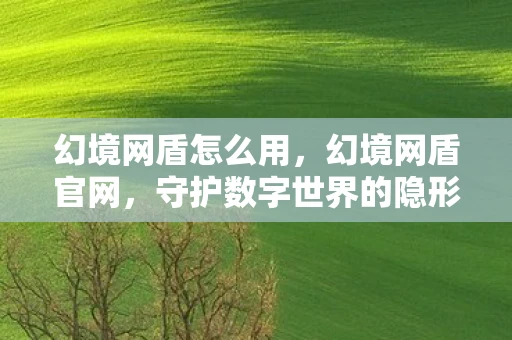 幻境网盾怎么用，幻境网盾官网，守护数字世界的隐形盾牌