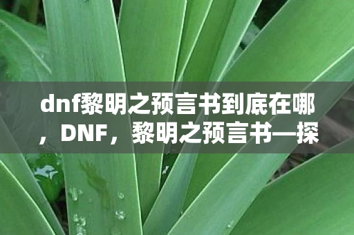 dnf黎明之预言书到底在哪，DNF，黎明之预言书—探索未知，迎接新纪元